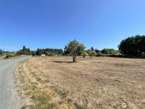 114 Leprechaun Lane Port Angeles WA 98362