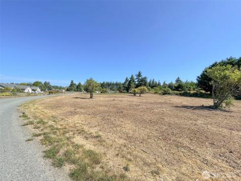 114 Leprechaun Lane Port Angeles WA 98362