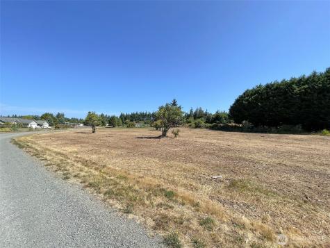 114 Leprechaun Lane Port Angeles WA 98362