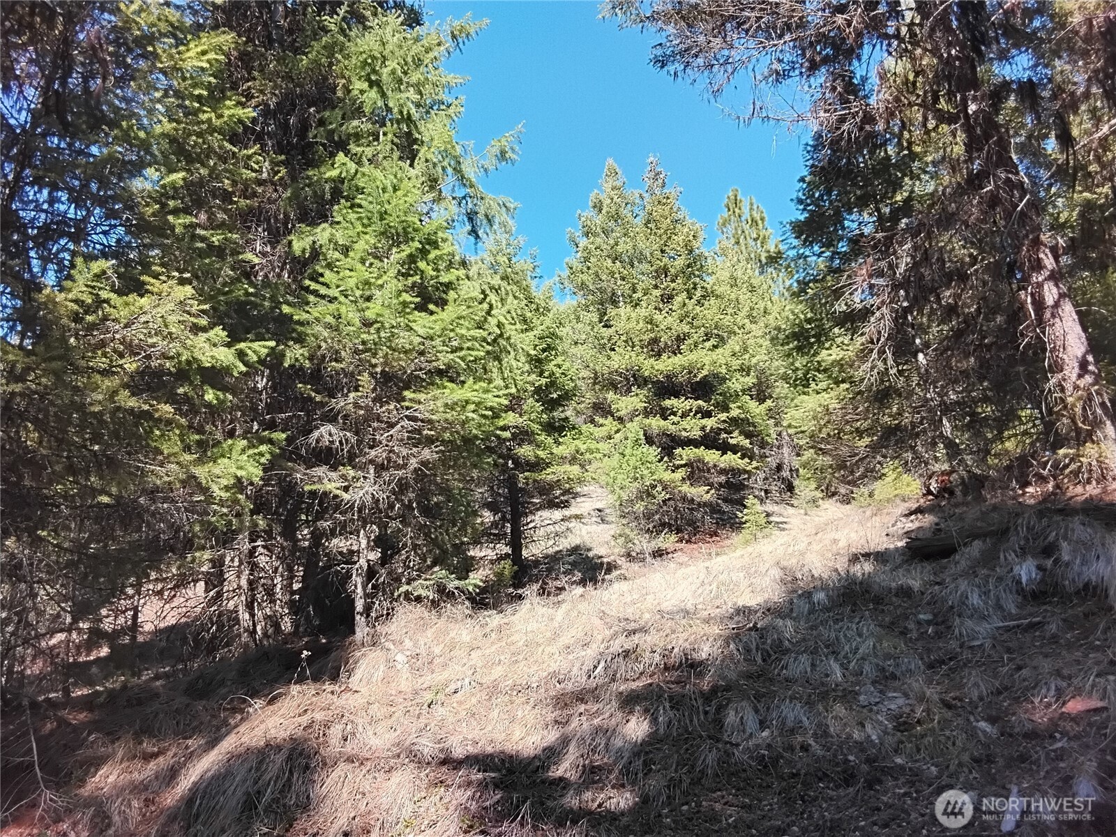44 Trapline Loop Road Oroville WA 98844