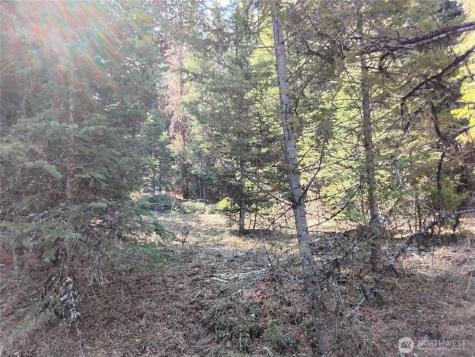 44 Trapline Loop Road Oroville WA 98844