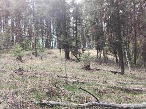 44 Trapline Loop Road Oroville WA 98844
