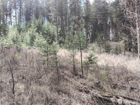 44 Trapline Loop Road Oroville WA 98844