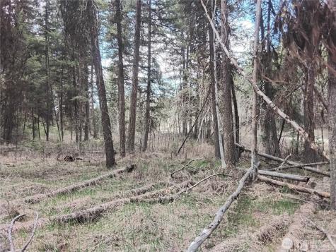 44 Trapline Loop Road Oroville WA 98844