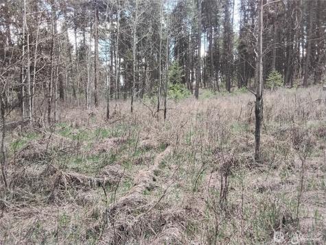 44 Trapline Loop Road Oroville WA 98844