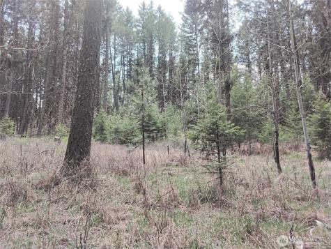44 Trapline Loop Road Oroville WA 98844