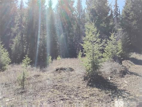 44 Trapline Loop Road Oroville WA 98844