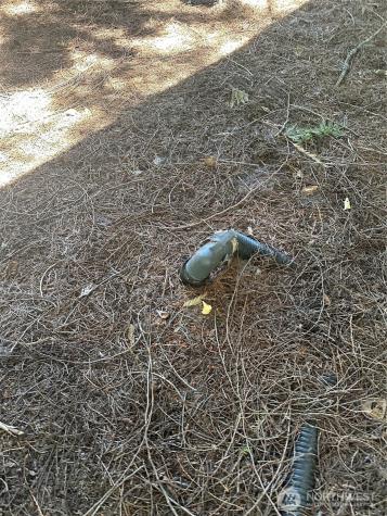 301 Mcelroy Road Cle Elum WA 98922