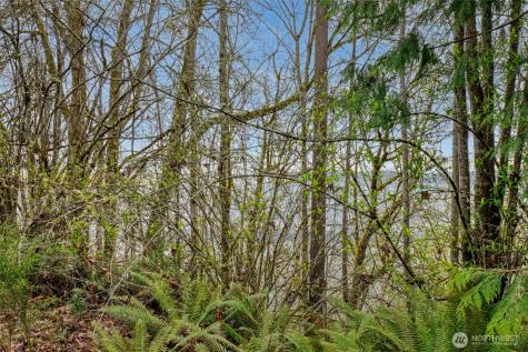 2401 NE Solar View Court Poulsbo WA 98345