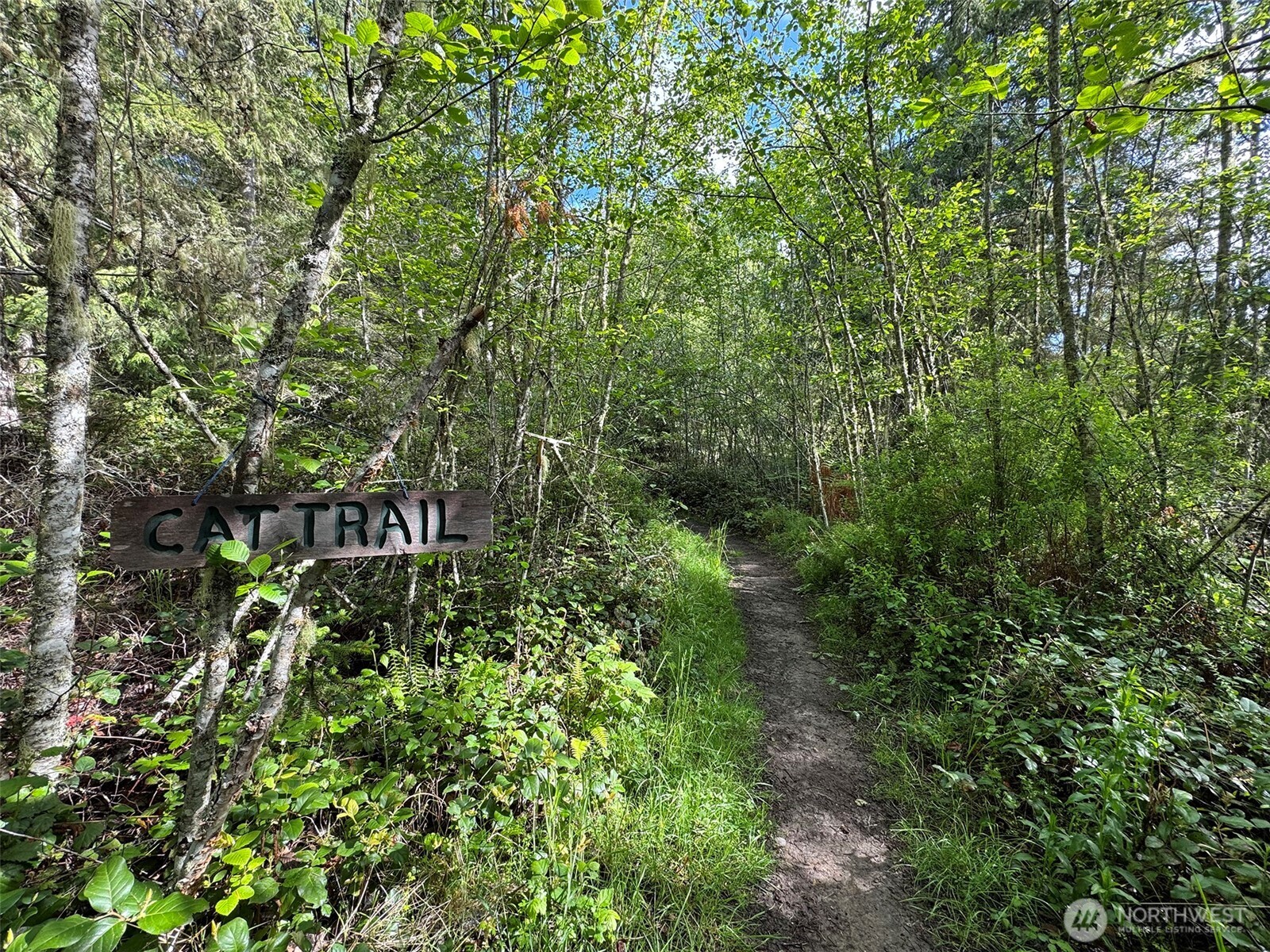 0 Headwaters Lane Port Angeles WA 98362