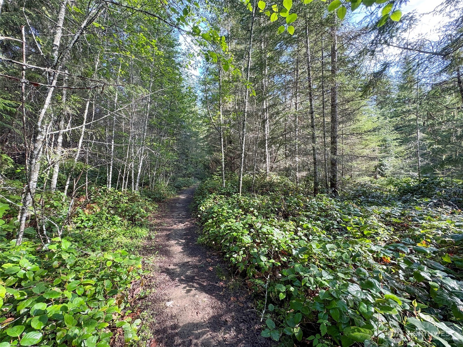 0 Headwaters Lane Port Angeles WA 98362