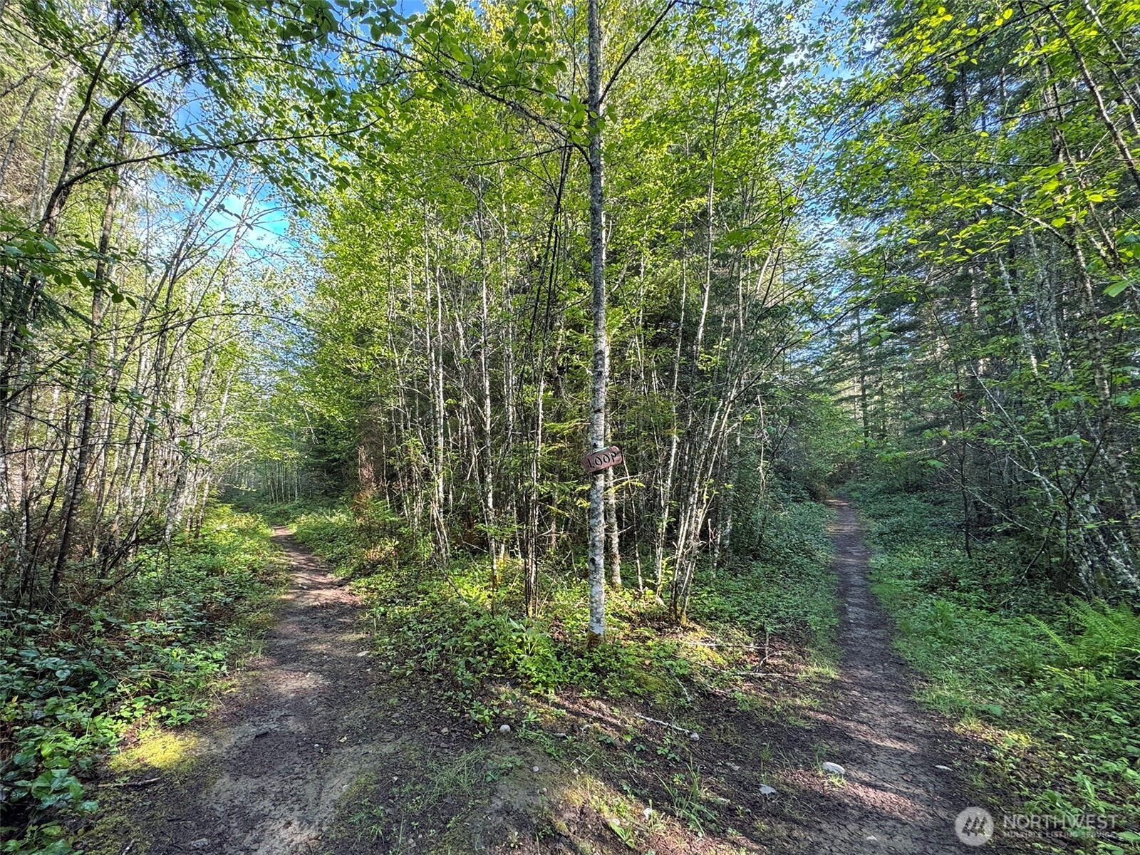 0 Headwaters Lane Port Angeles WA 98362