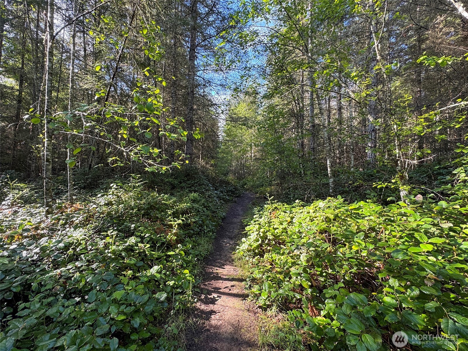 0 Headwaters Lane Port Angeles WA 98362