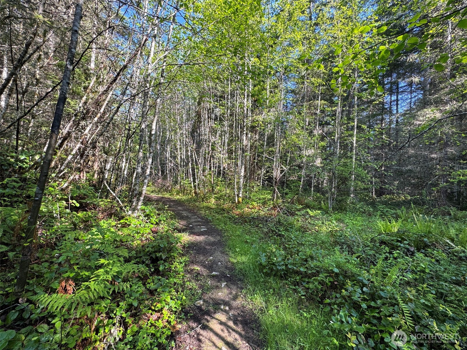 0 Headwaters Lane Port Angeles WA 98362