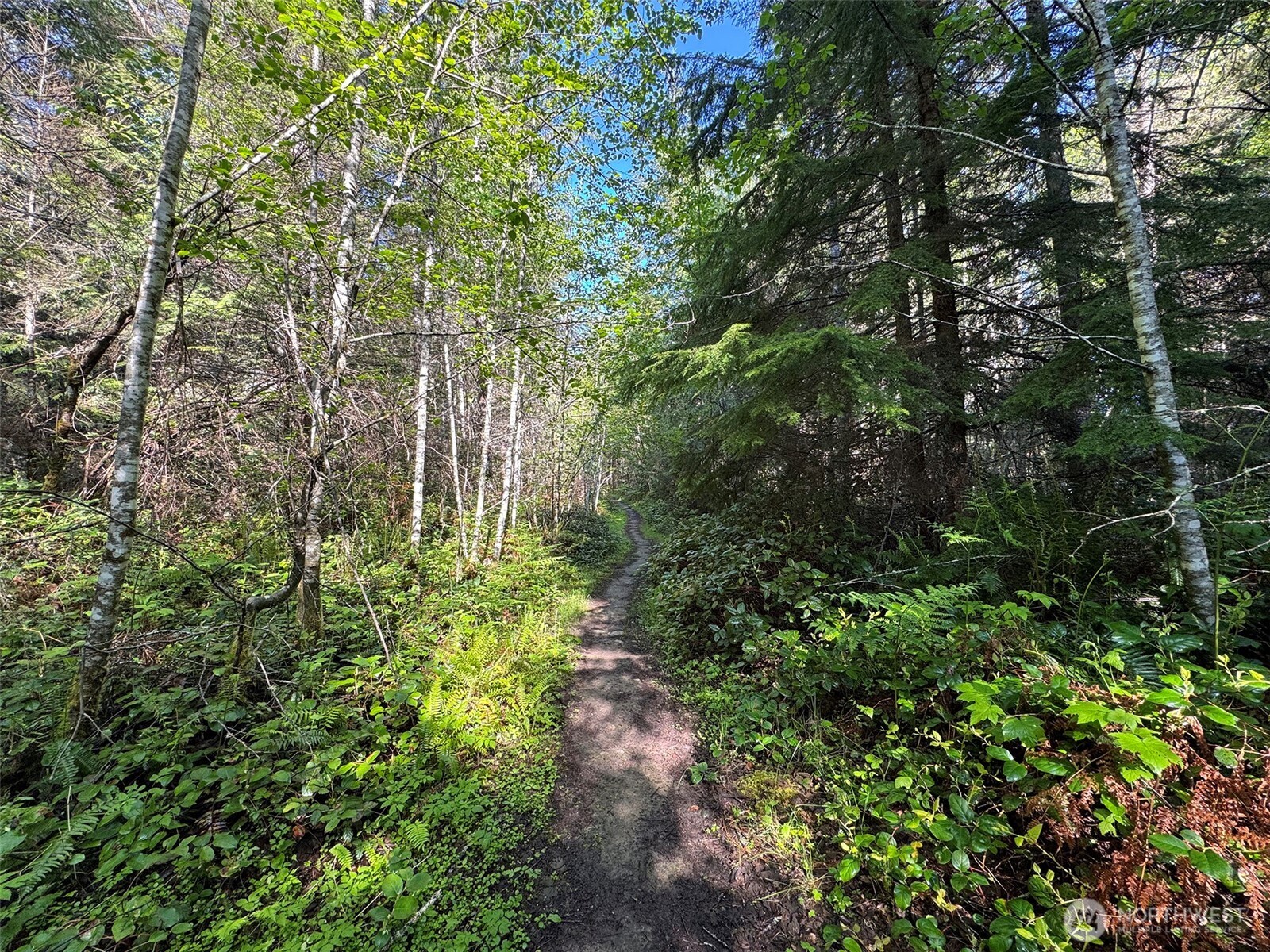 0 Headwaters Lane Port Angeles WA 98362
