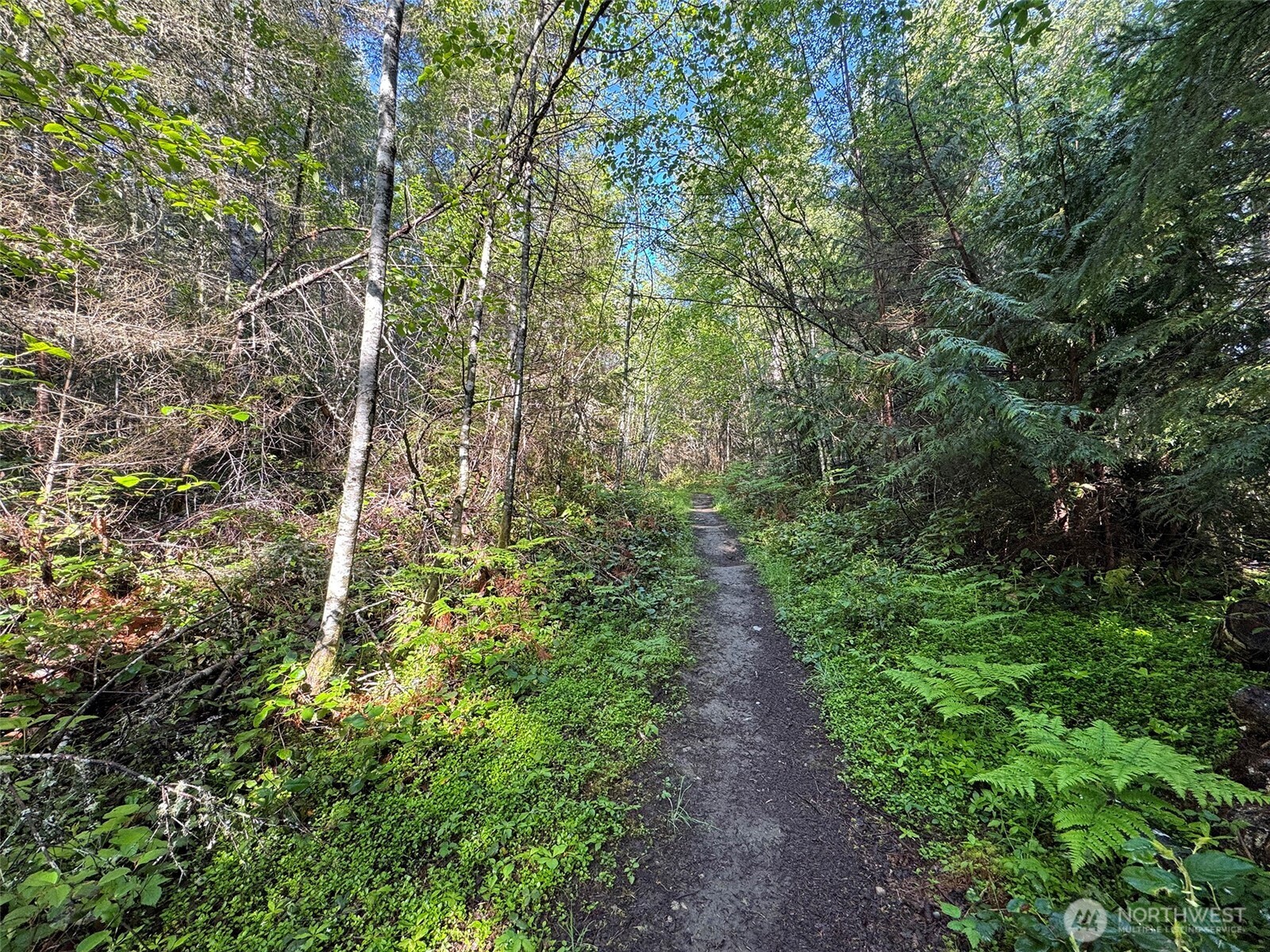 0 Headwaters Lane Port Angeles WA 98362