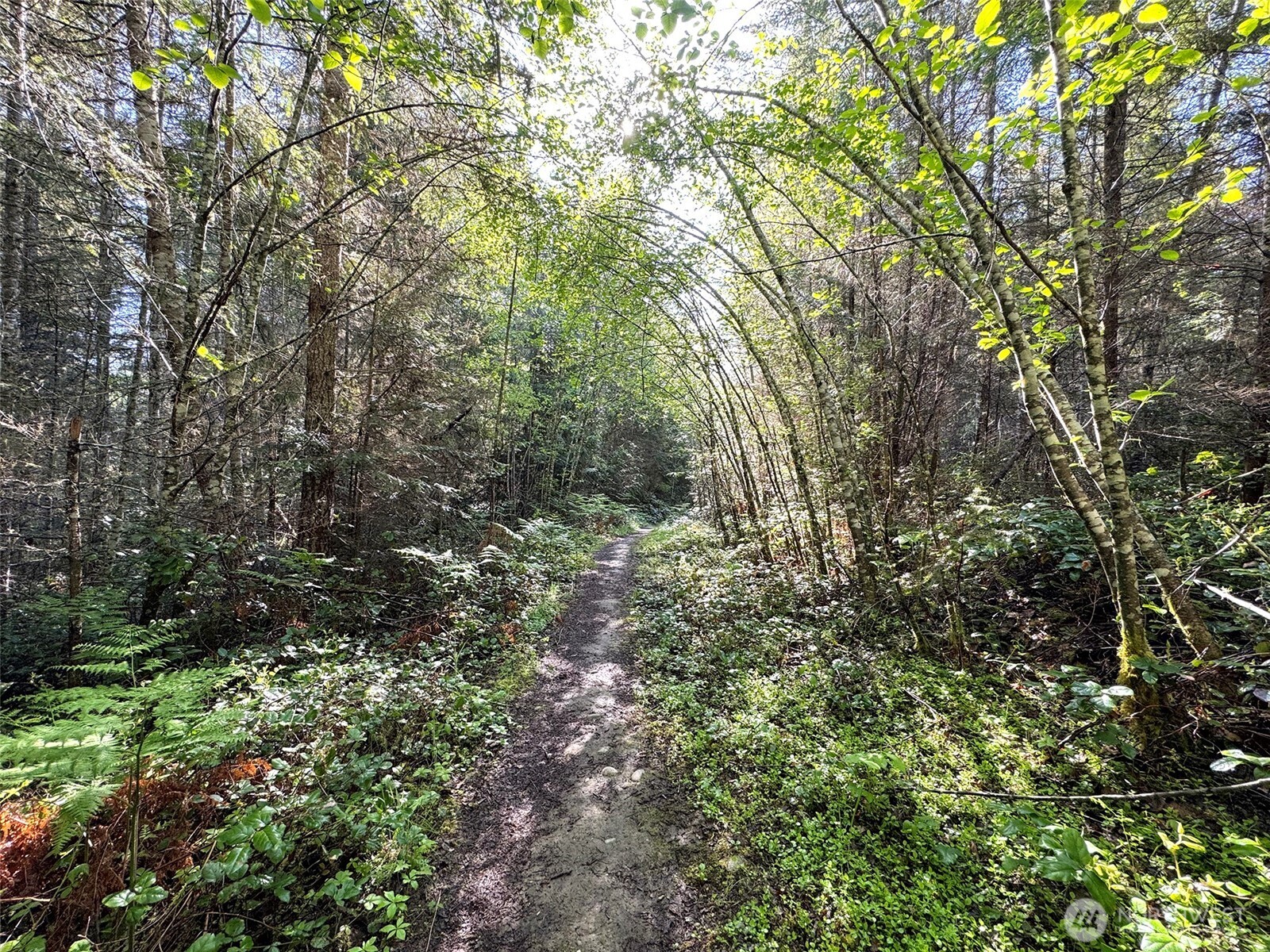 0 Headwaters Lane Port Angeles WA 98362
