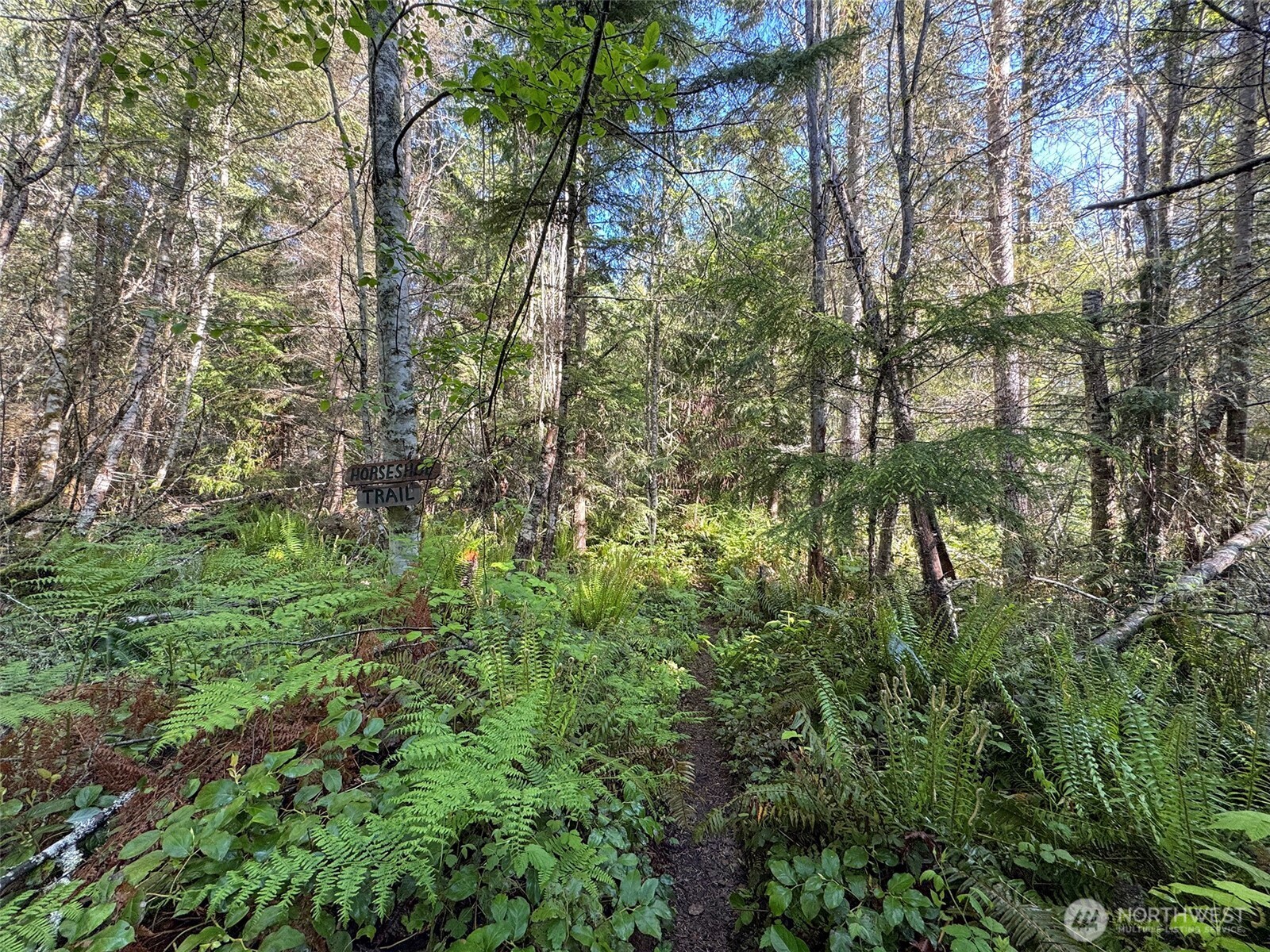 0 Headwaters Lane Port Angeles WA 98362