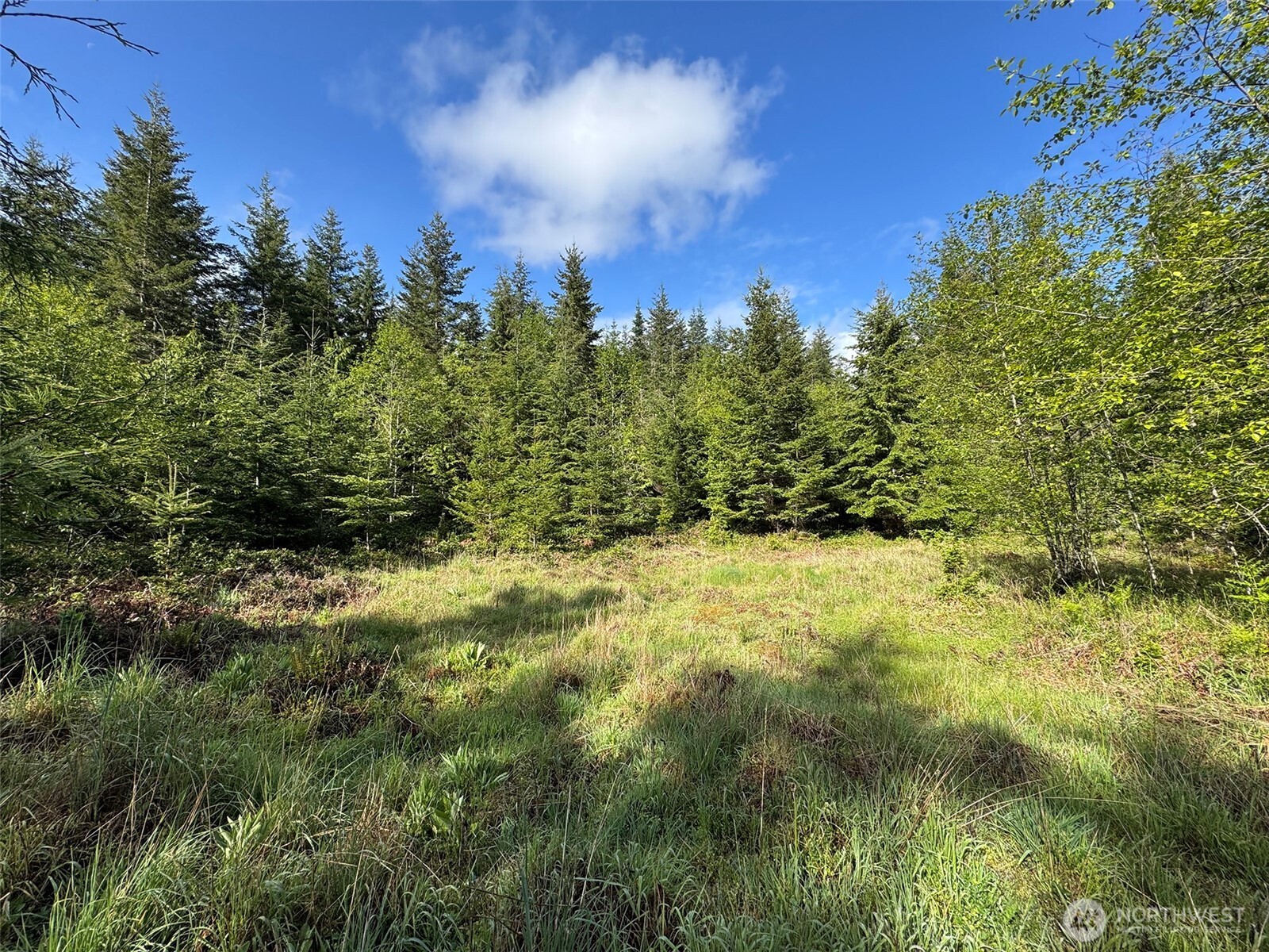 0 Headwaters Lane Port Angeles WA 98362