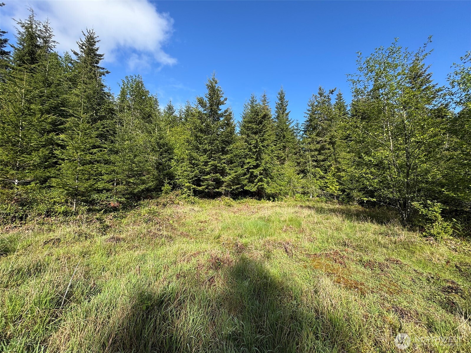 0 Headwaters Lane Port Angeles WA 98362