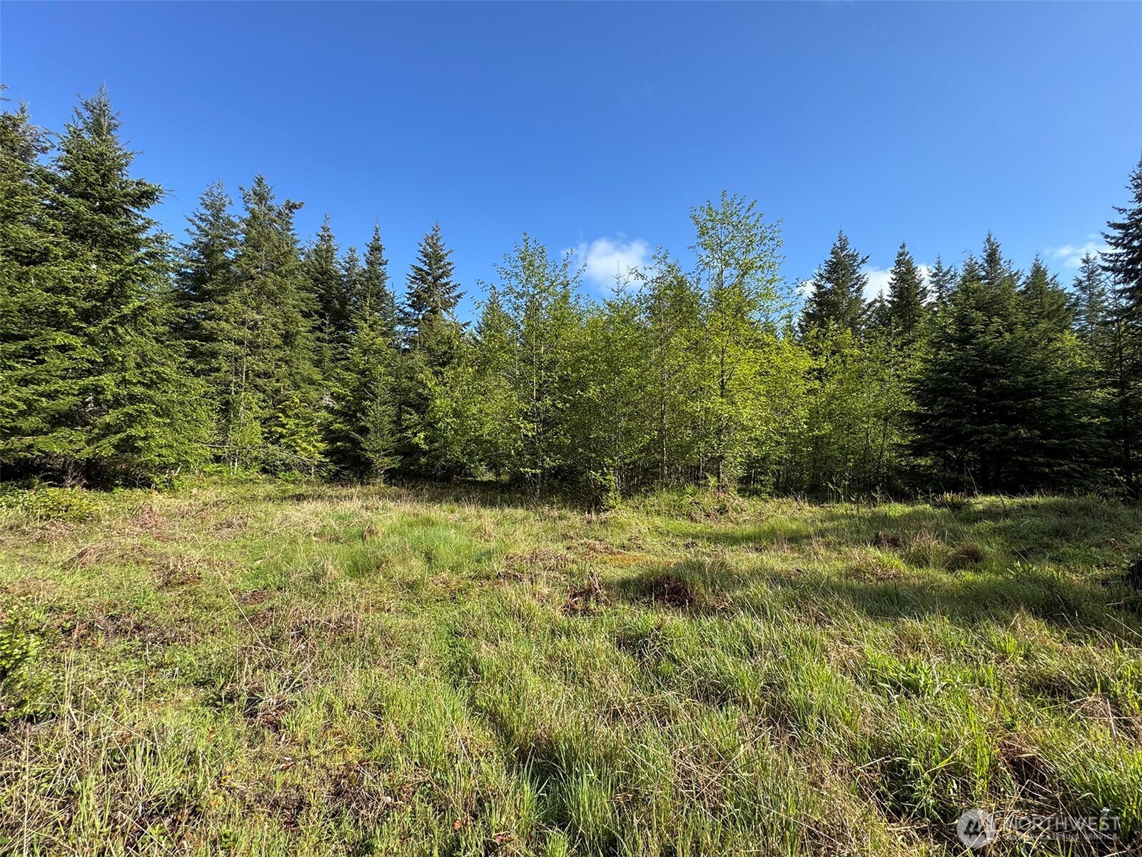 0 Headwaters Lane Port Angeles WA 98362