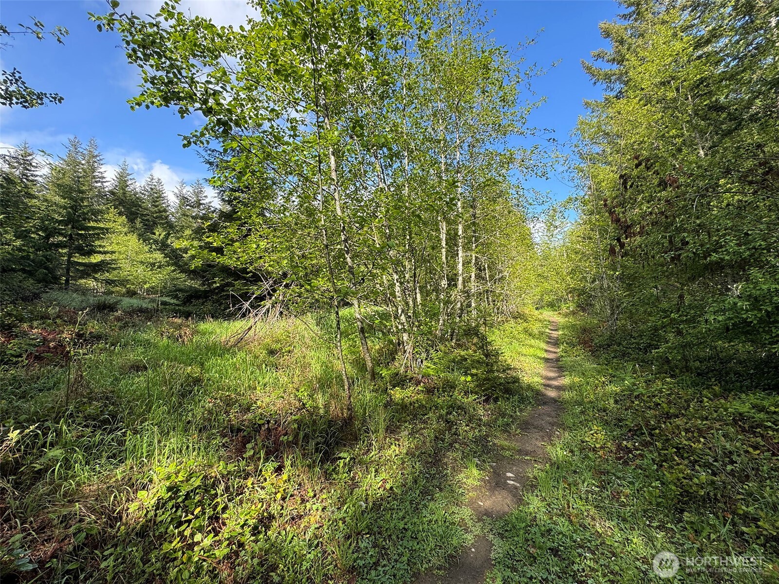 0 Headwaters Lane Port Angeles WA 98362