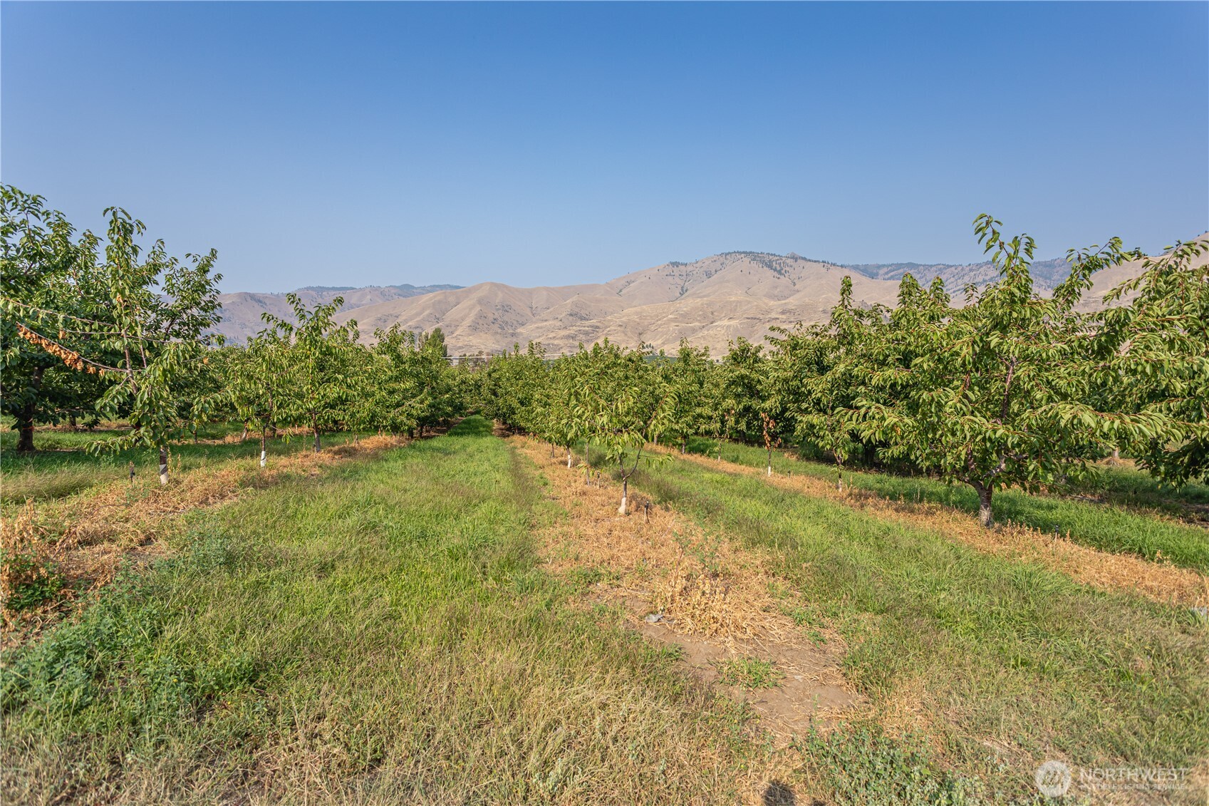 13512 Us Highway 2 East Wenatchee WA 98802