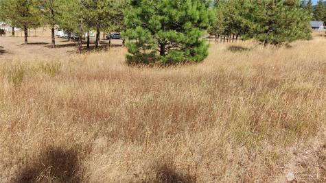1640 Leo Lane Cle Elum WA 98922