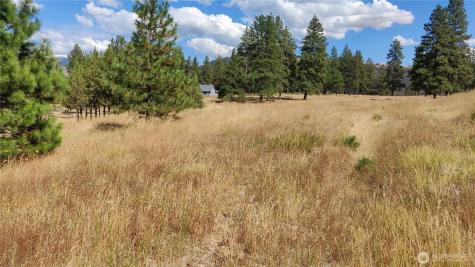 1640 Leo Lane Cle Elum WA 98922