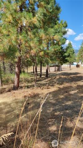 1640 Leo Lane Cle Elum WA 98922