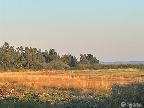 2680 Sunset Lane Tokeland WA 98590