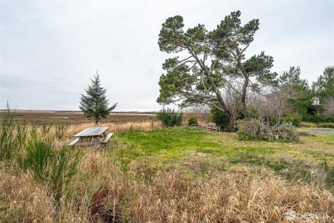 2680 Sunset Lane Tokeland WA 98590