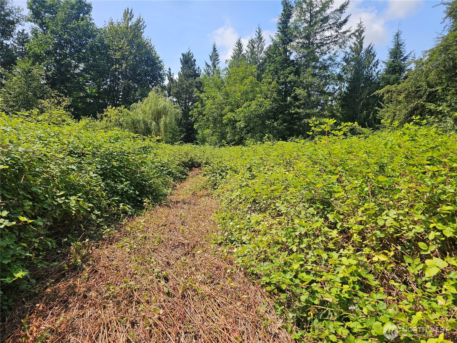 14416 399th Avenue SE Gold Bar WA 98251