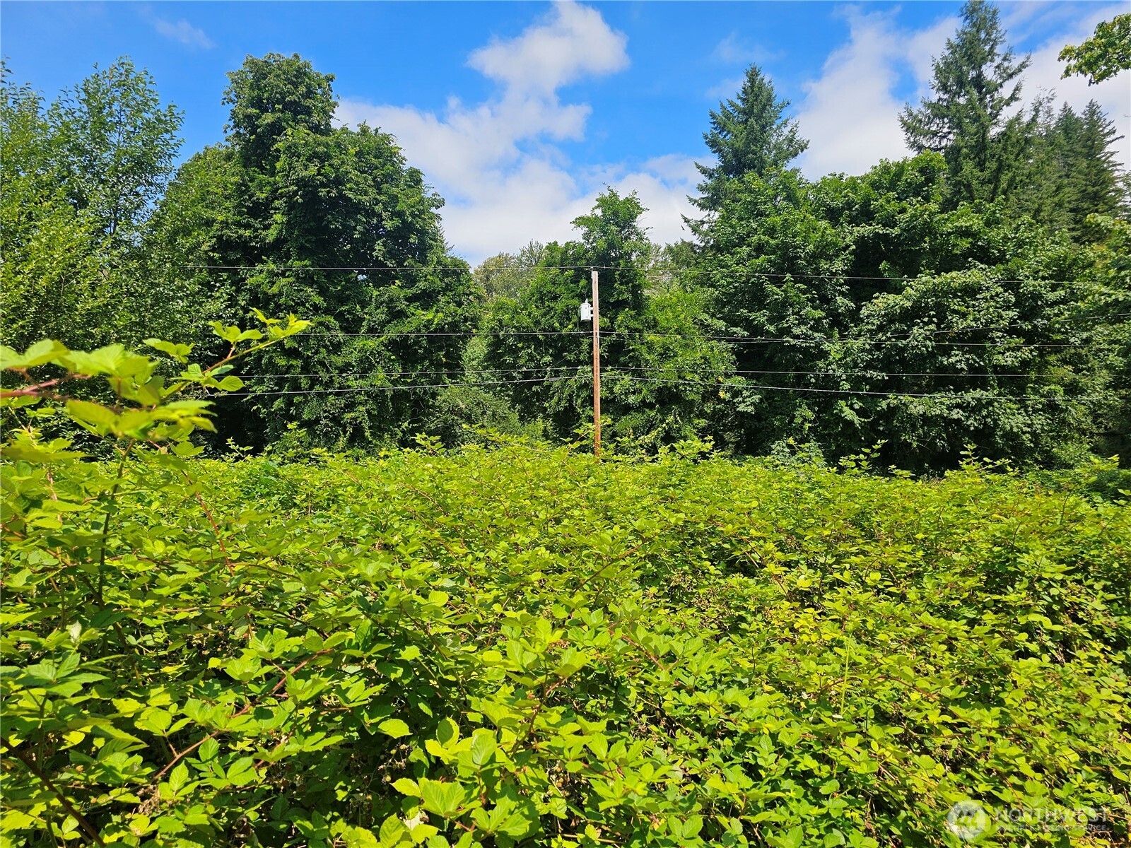 14416 399th Avenue SE Gold Bar WA 98251