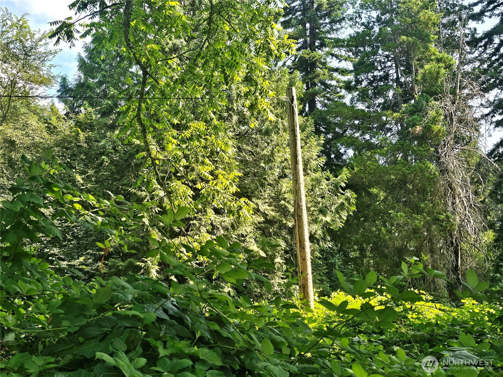 14416 399th Avenue SE Gold Bar WA 98251