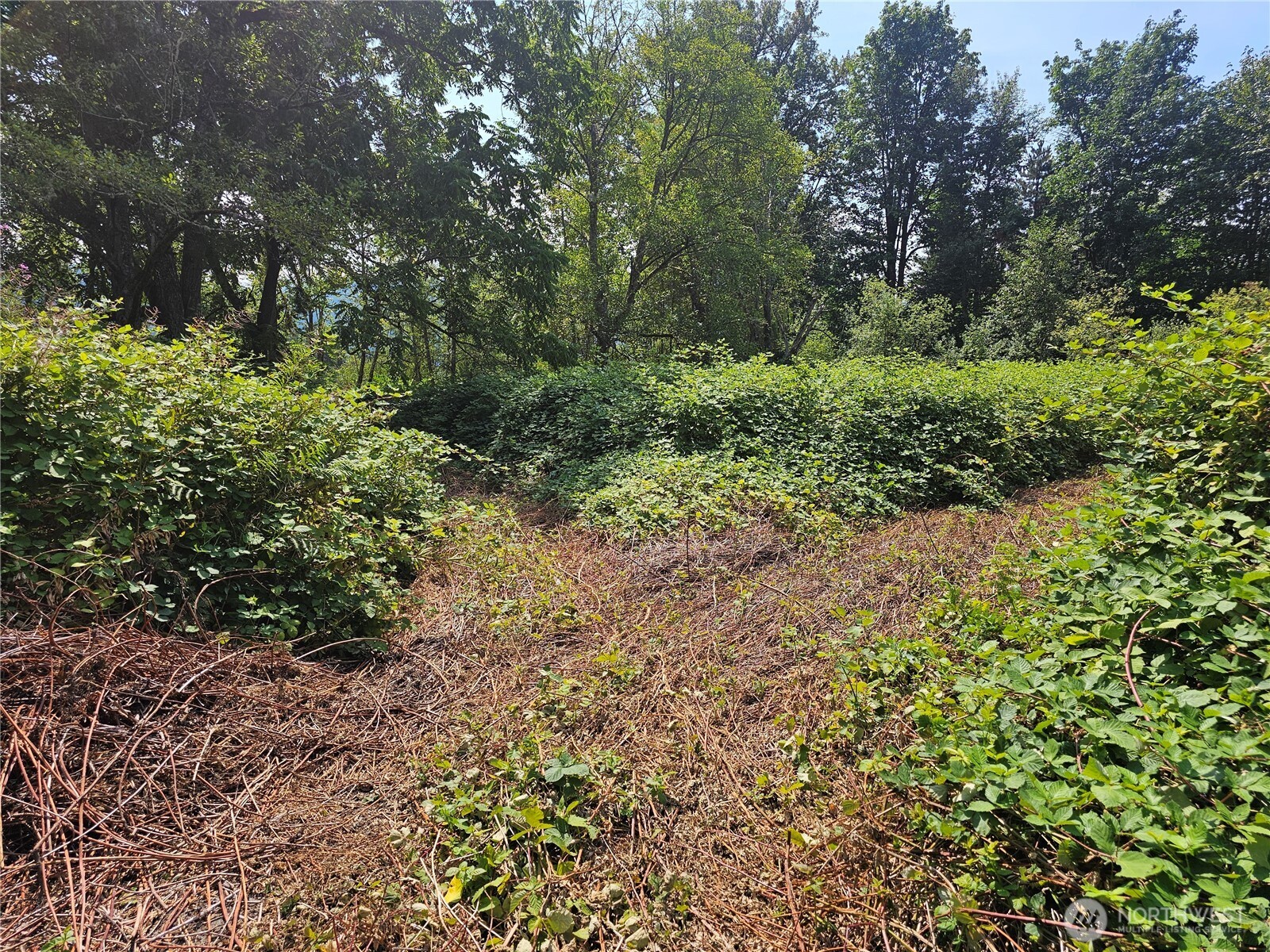 14416 399th Avenue SE Gold Bar WA 98251