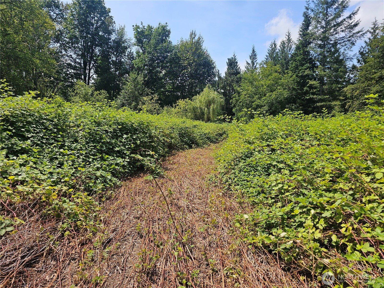 14416 399th Avenue SE Gold Bar WA 98251