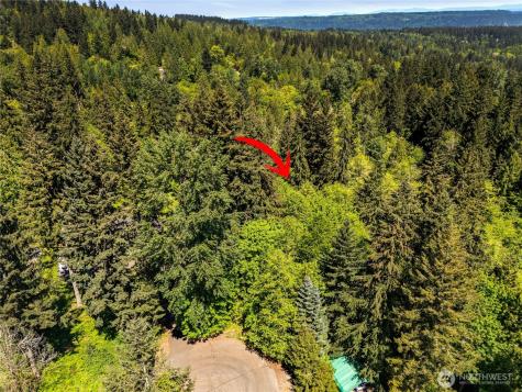 16217 232nd Street Ct E Graham WA 98338