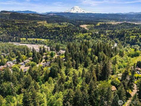 16217 232nd Street Ct E Graham WA 98338