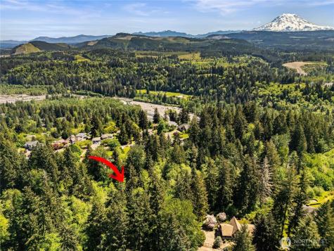 16217 232nd Street Ct E Graham WA 98338