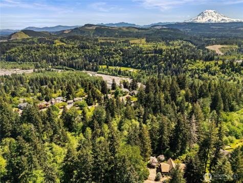 16217 232nd Street Ct E Graham WA 98338