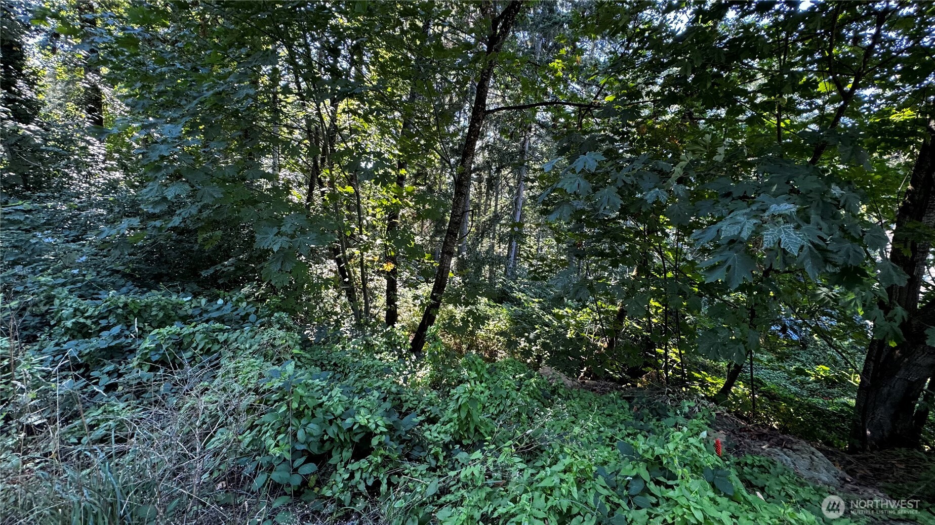 14055 169th Avenue SE Renton WA 98059