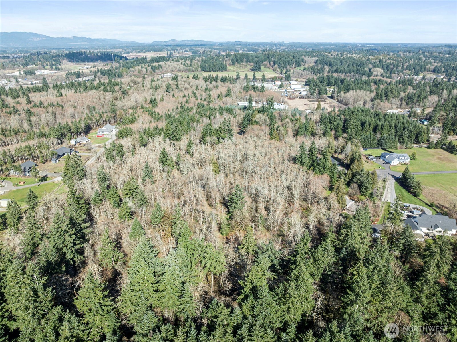 3244 137th Lane SW Tenino WA 98589