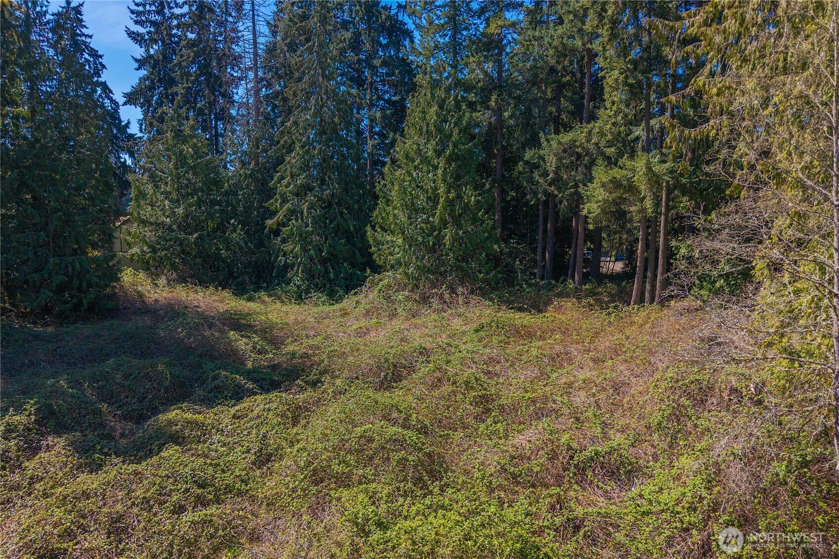 0 0000 Tacoma WA 98443