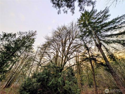 0 Whiteman Road SW Lakebay WA 98349