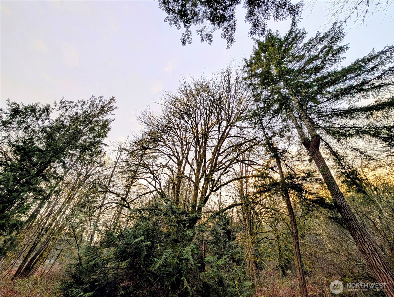 0 Whiteman Road SW Lakebay WA 98349