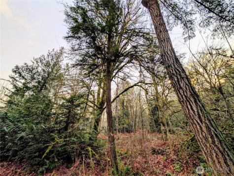 0 Whiteman Road SW Lakebay WA 98349