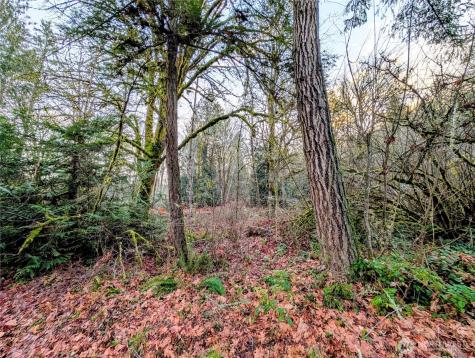 0 Whiteman Road SW Lakebay WA 98349