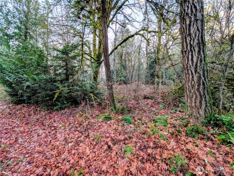 0 Whiteman Road SW Lakebay WA 98349