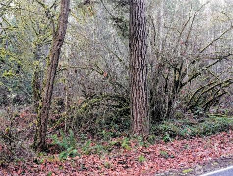 0 Whiteman Road SW Lakebay WA 98349